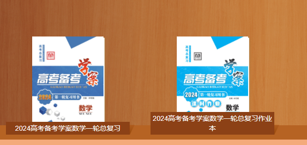 2024高考备考学案数学一轮总复习